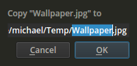 fman's dialog for copying a file. Only the file name is selected.